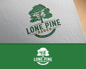 Lone Pine Ranch entry by Amit1991