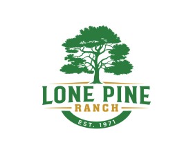 Lone Pine Ranch entry by Amit1991
