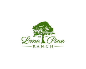 Lone Pine Ranch entry by andsue