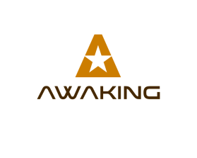 AWAKING entry by designr