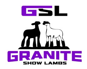 Granite Show Lambs entry by Ilham Fajri