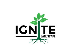 Ignite Landscape entry by sujono