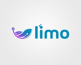 LIMO entry by TONGSENG