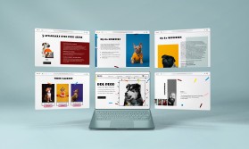 K9-Rx.com entry by Abban Mundayil