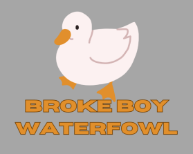 Broke Boy Waterfowl entry by Chinmaya123