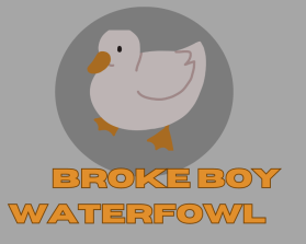 Broke Boy Waterfowl entry by Chinmaya123