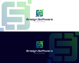 Ensign.Software entry by muhammad burhanuddin