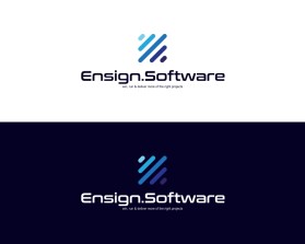Ensign.Software entry by muhammad burhanuddin