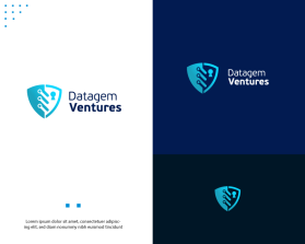 Datagem Ventures entry by mdfarhad9595