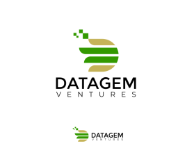 Datagem Ventures entry by fije