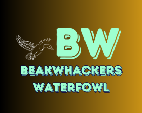 Beakwhackers Waterfowl entry by Rajat Gupta