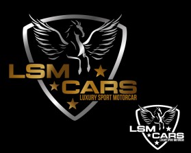 LSM CARS entry by mariana alvarez