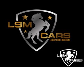 LSM CARS entry by mariana alvarez