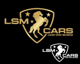 LSM CARS entry by mariana alvarez