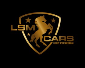 LSM CARS entry by mariana alvarez