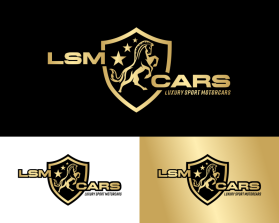LSM CARS entry by ENJANG RUDIANA