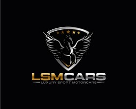 LSM CARS entry by mariana alvarez