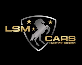 LSM CARS entry by mariana alvarez