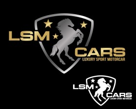 LSM CARS entry by mariana alvarez