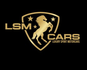 LSM CARS entry by mariana alvarez