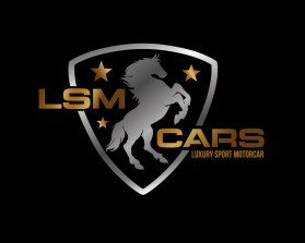 LSM CARS entry by mariana alvarez