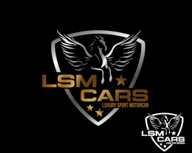 LSM CARS entry by mariana alvarez