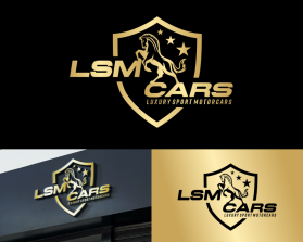 LSM CARS entry by ENJANG RUDIANA