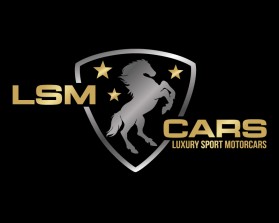 LSM CARS entry by mariana alvarez