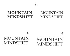 Mountain Mindshift entry by bartous