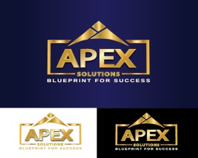 APEX Solutions entry by nisreen