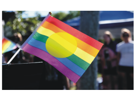 Official Hatchwise Contest: Pride Flag Redesign entry by widyawan