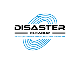 Disaster Cleanup entry by inka