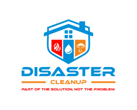 Disaster Cleanup entry by inka