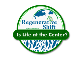 Regenerative Shift entry by Designape