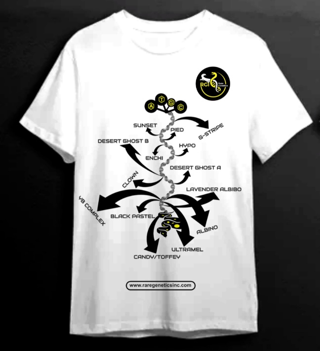 T-Shirt Design entry 3162747 submitted by Designape