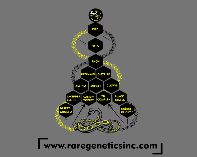 T-Shirt Design entry 3163235 submitted by Designape