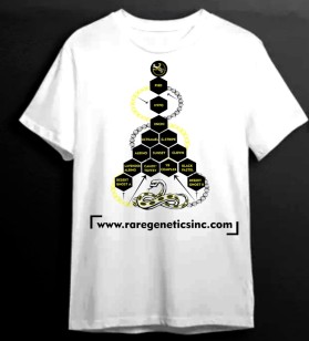 T-Shirt Design entry 3163232 submitted by Designape