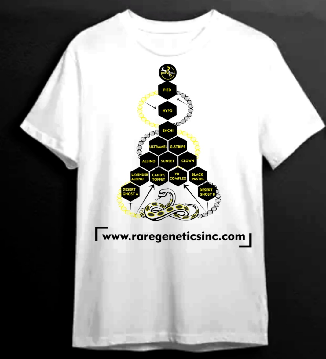 T-Shirt Design entry 3163232 submitted by Designape