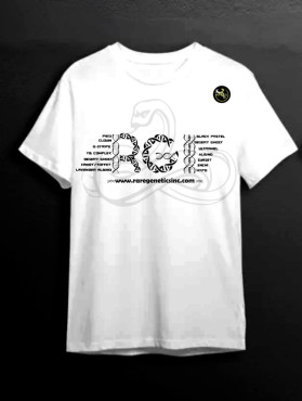 T-Shirt Design entry 3162241 submitted by Designape