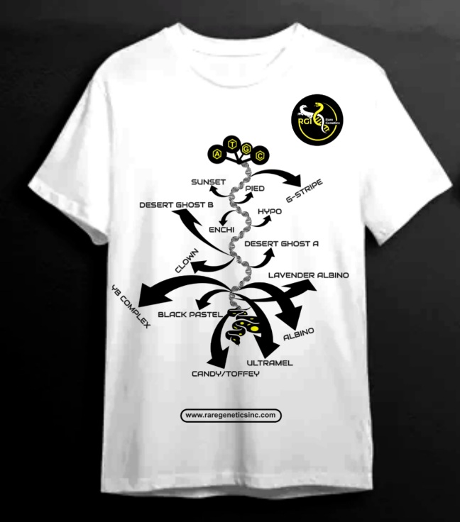 T-Shirt Design entry 3162791 submitted by Designape