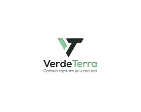 VerdeTerra entry by Samrawaheed