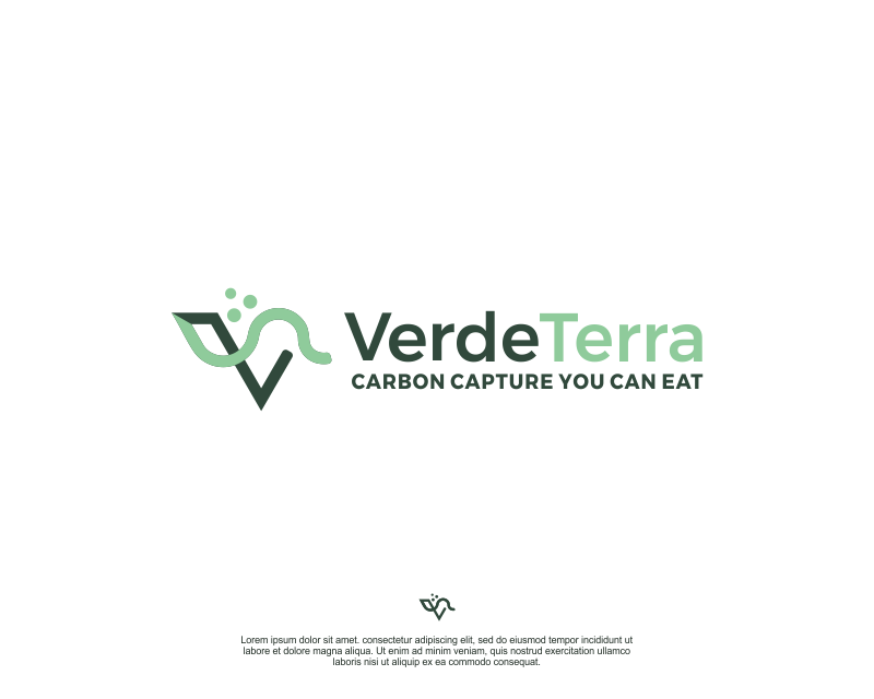 Logo Design for VerdeTerra