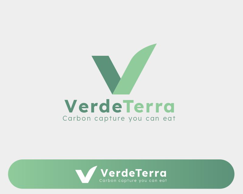 portfolio-img