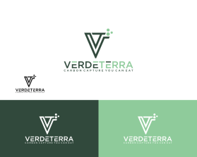 VerdeTerra entry by binbin design