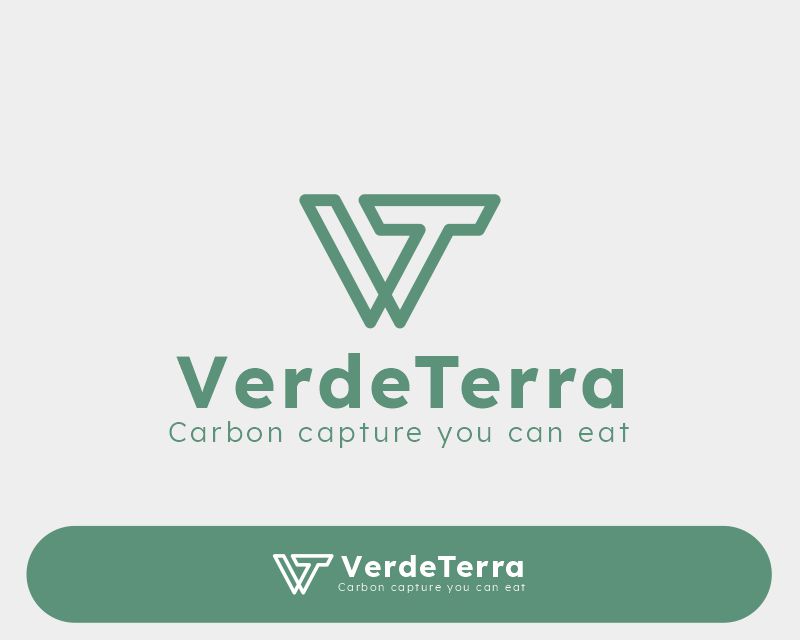 portfolio-img