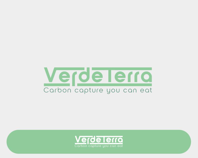 portfolio-img