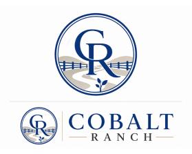 Cobalt Ranch entry by velvar