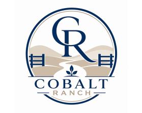 Cobalt Ranch entry by velvar