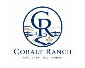 Cobalt Ranch entry by velvar