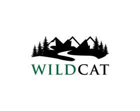 Wildcat entry by BaharAli